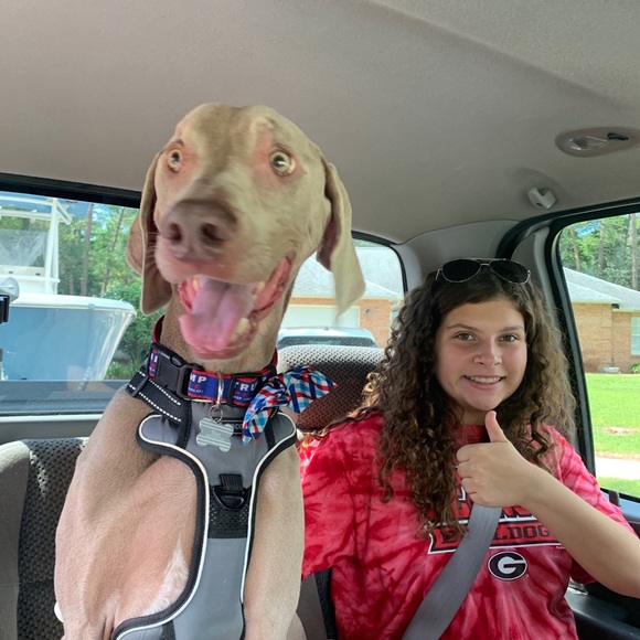 Meet your Posher, Clara - Picture 5 of 9